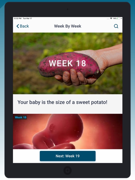 My Pregnancy Blue Cross NC iPad screenshot 5 - Health & Fitness app