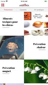 Capture d'écran