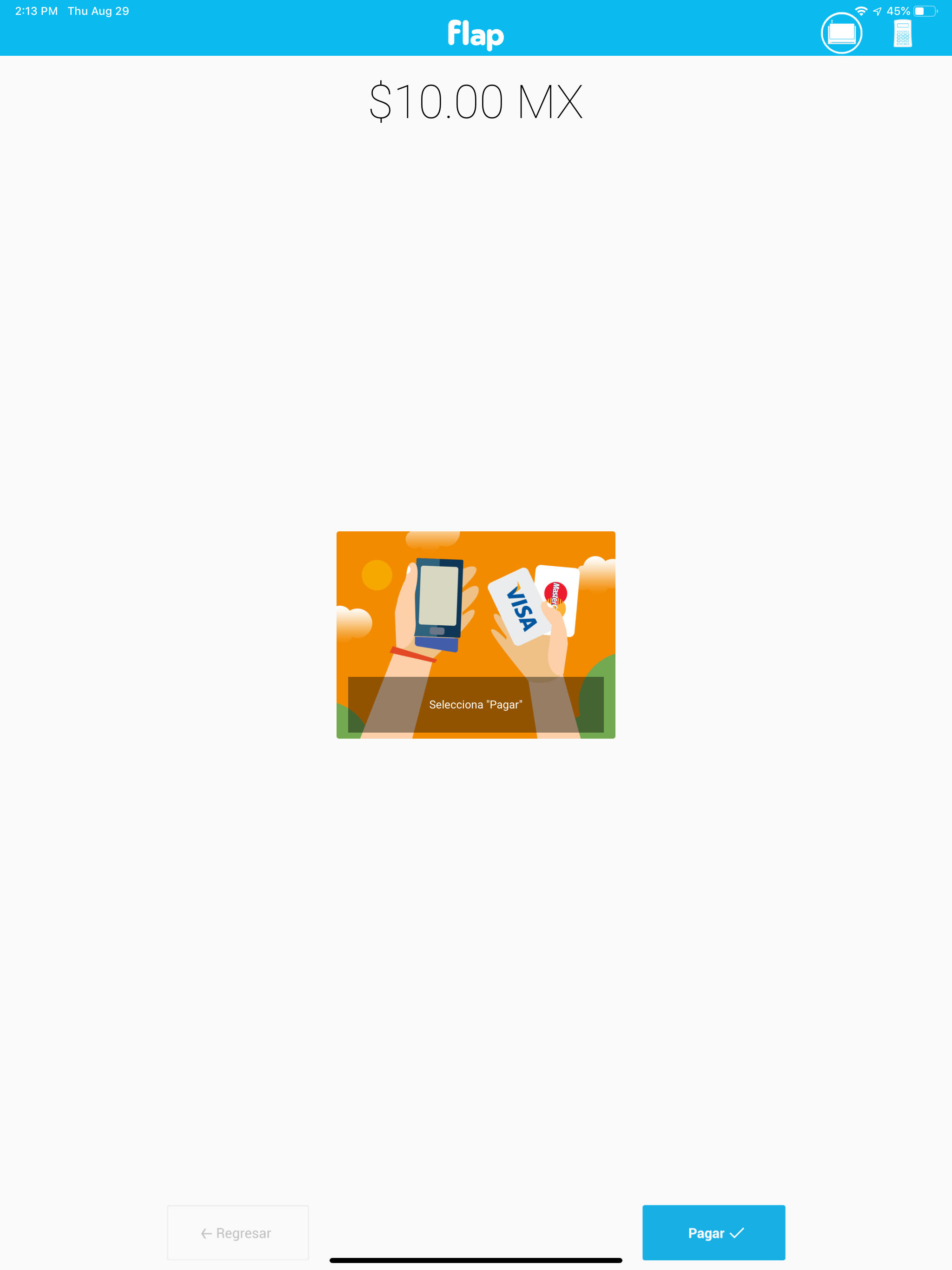 mPOS Flap screenshot 6