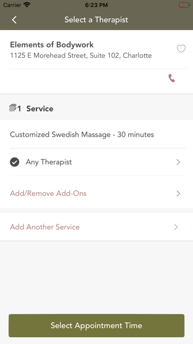 Elements of Bodywork - Massage Screenshot