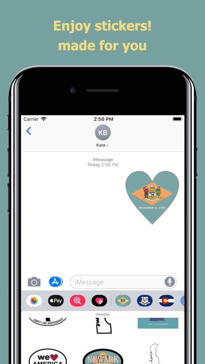 Delaware emojis - USA stickers screenshot-4