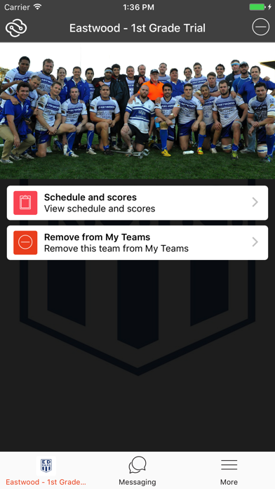 Fusesport Rugby Screenshot