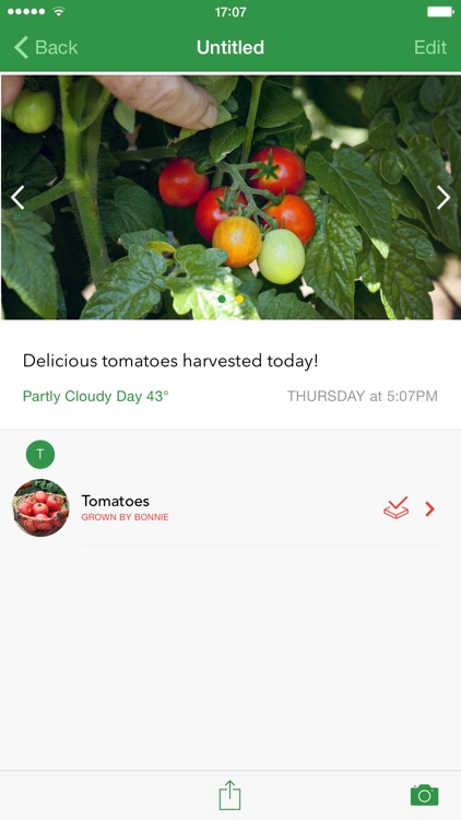 Homegrown with Bonnie Plants screenshot-3
