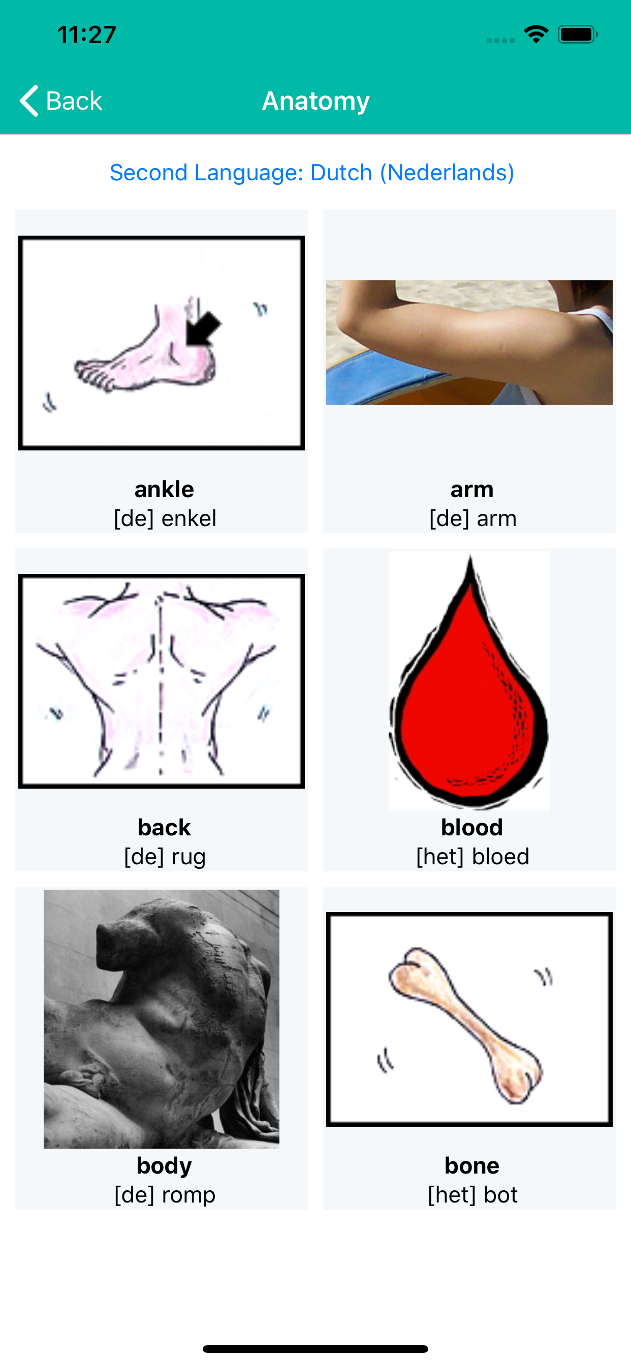 Dictionary with pictures