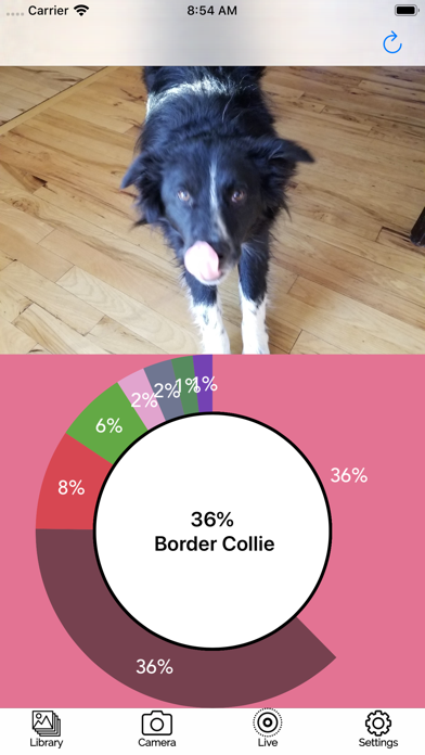 Screenshot #2 pour Dog Breed AI Classifier