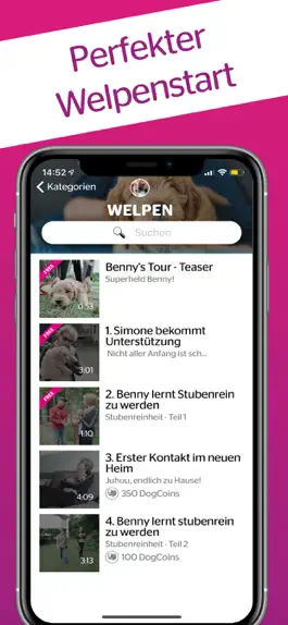 Game screenshot DogDict – Hundelehrvideos hack