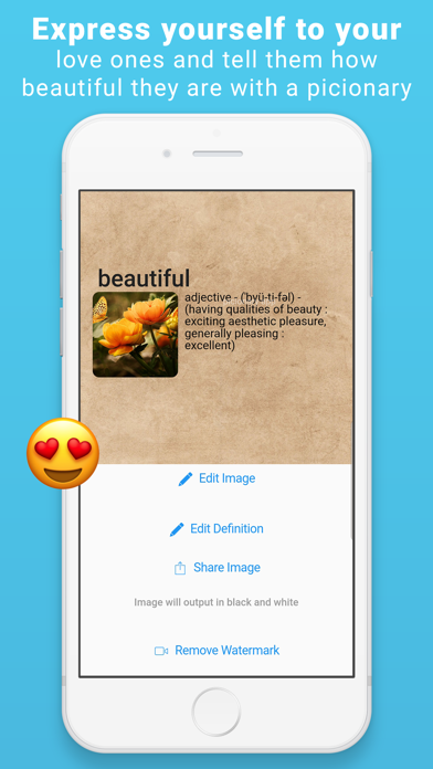 Screenshot #2 pour Picionary