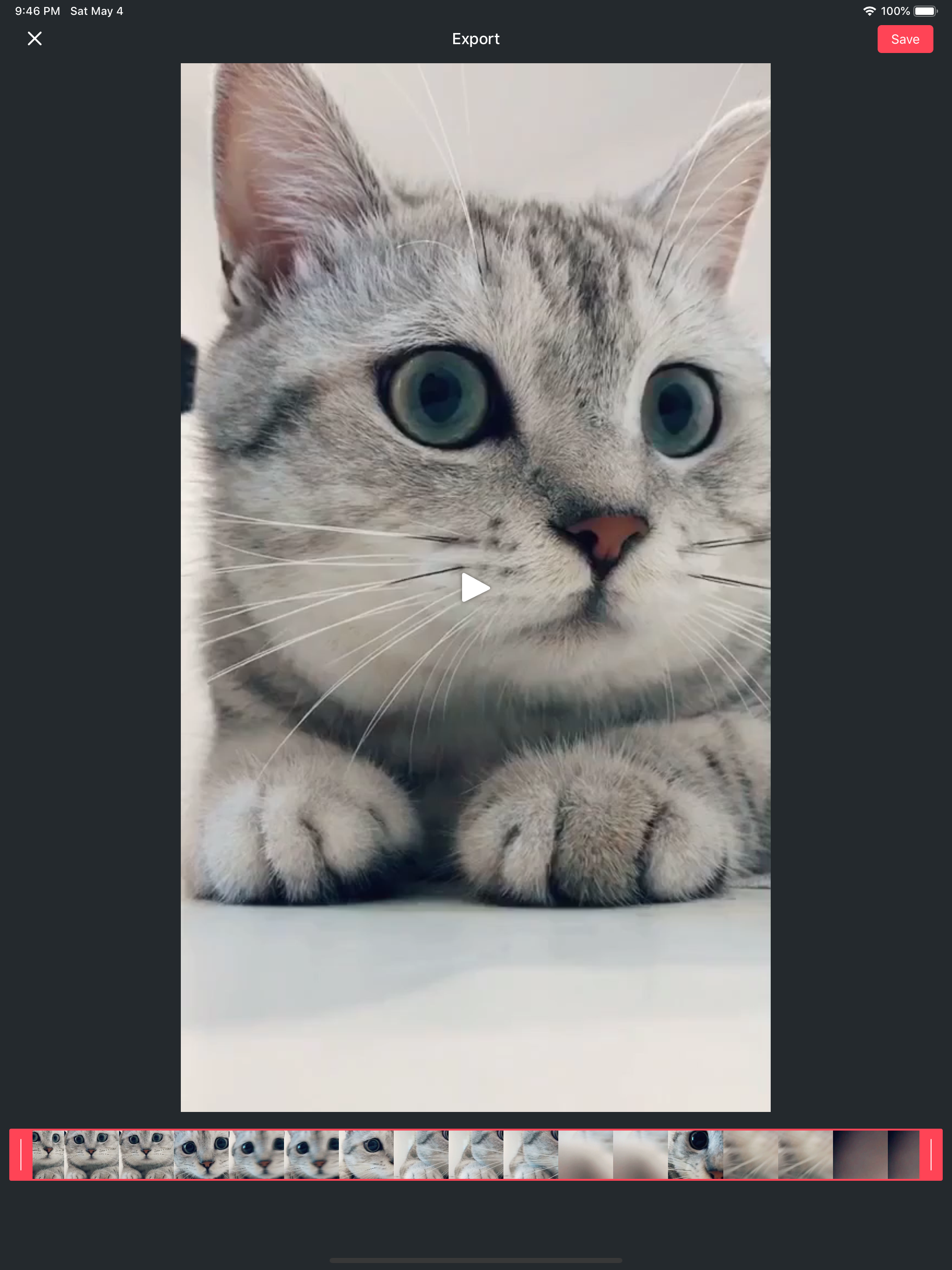 Live Converter - Live to Gif screenshot 4