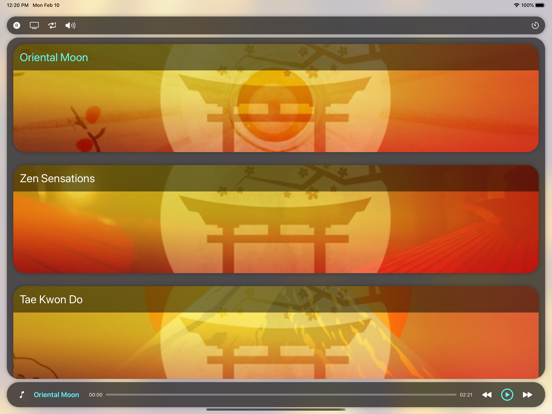 Screenshot #4 pour Musique Orientale: Expérience