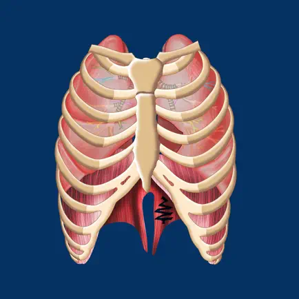 Respiration ID Cheats