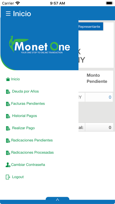 MonetOne iPhone screenshot
