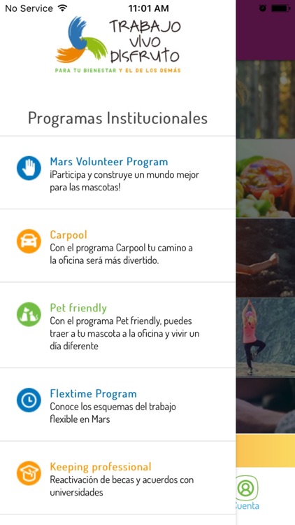 Trabajo Vivo Disfruto