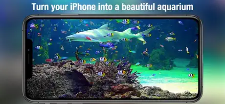 Aquarium Live HD+