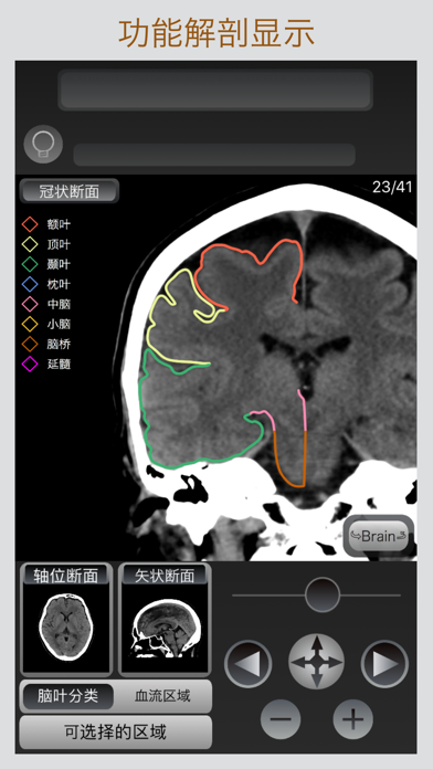 CT 护照 "头部" screenshot