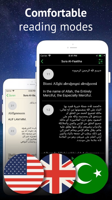 Quran in English & Arabic Screenshot