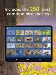 Bird Id - British Isles birds ipad bilder 2