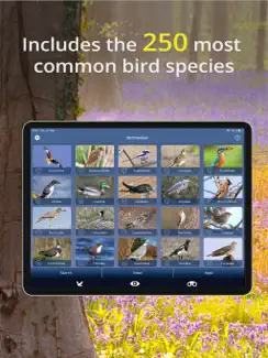 Bird Id - British Isles birds iPad image 3