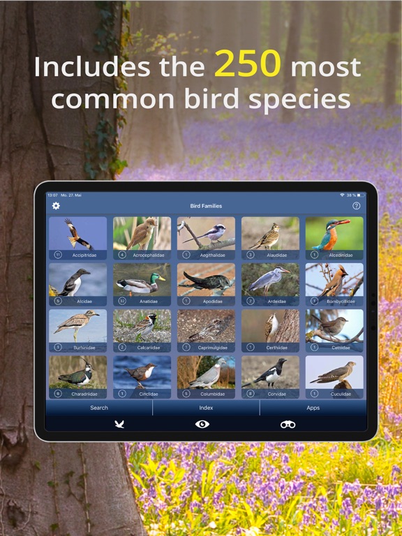 Screenshot #6 pour Bird Id - British Isles birds