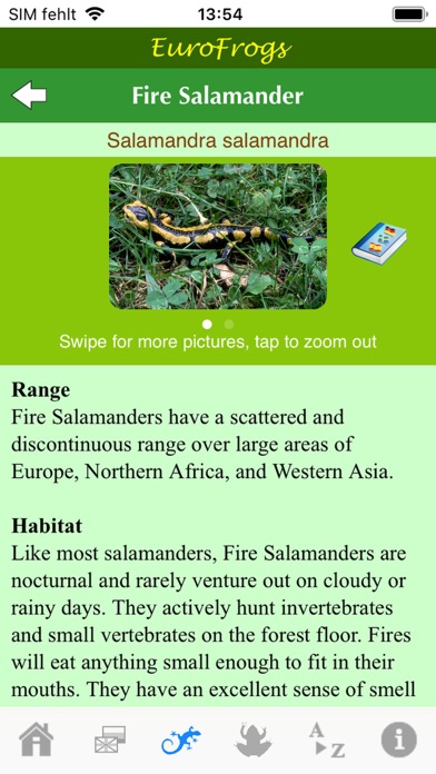EuroFrogs Screenshot