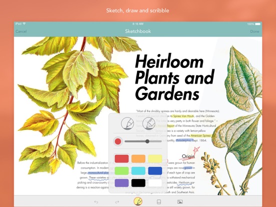 App screenshot