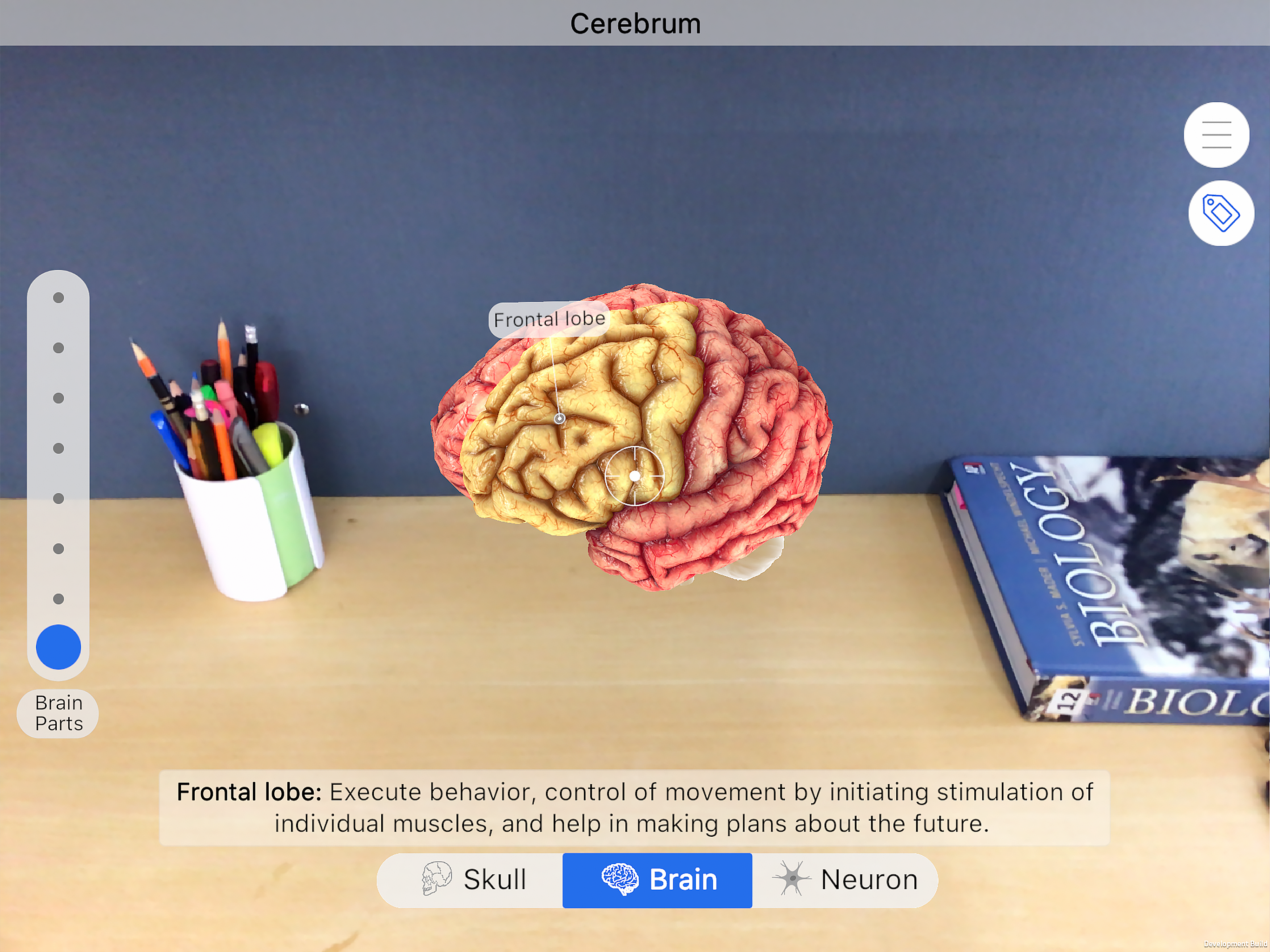 Brainapse