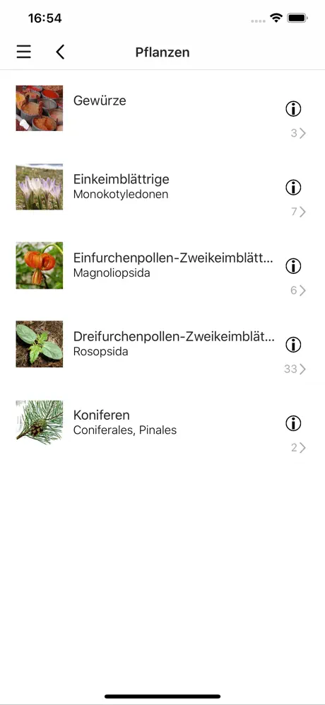 Gewürze und Kräuter