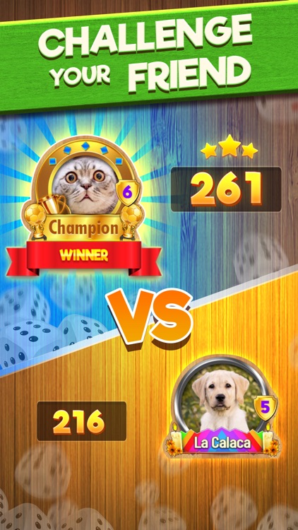 US Yatzy - Poker Dice Roller screenshot-4