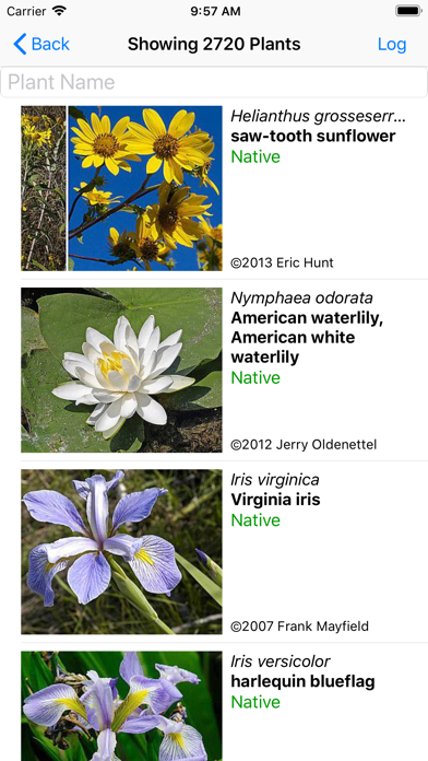 Screenshot #2 pour Wisconsin Wildflowers
