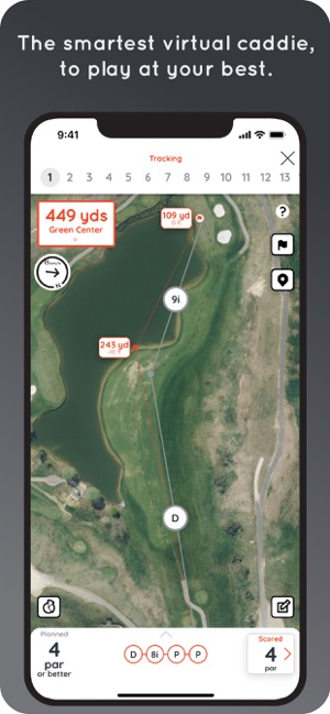 Hello Birdie Golf