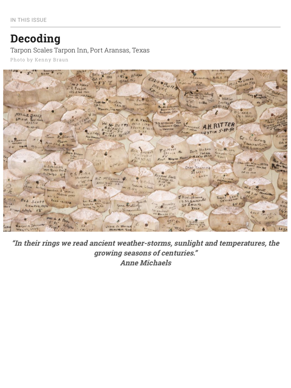 Anglers Journal iPad screenshot 4 - Sports app