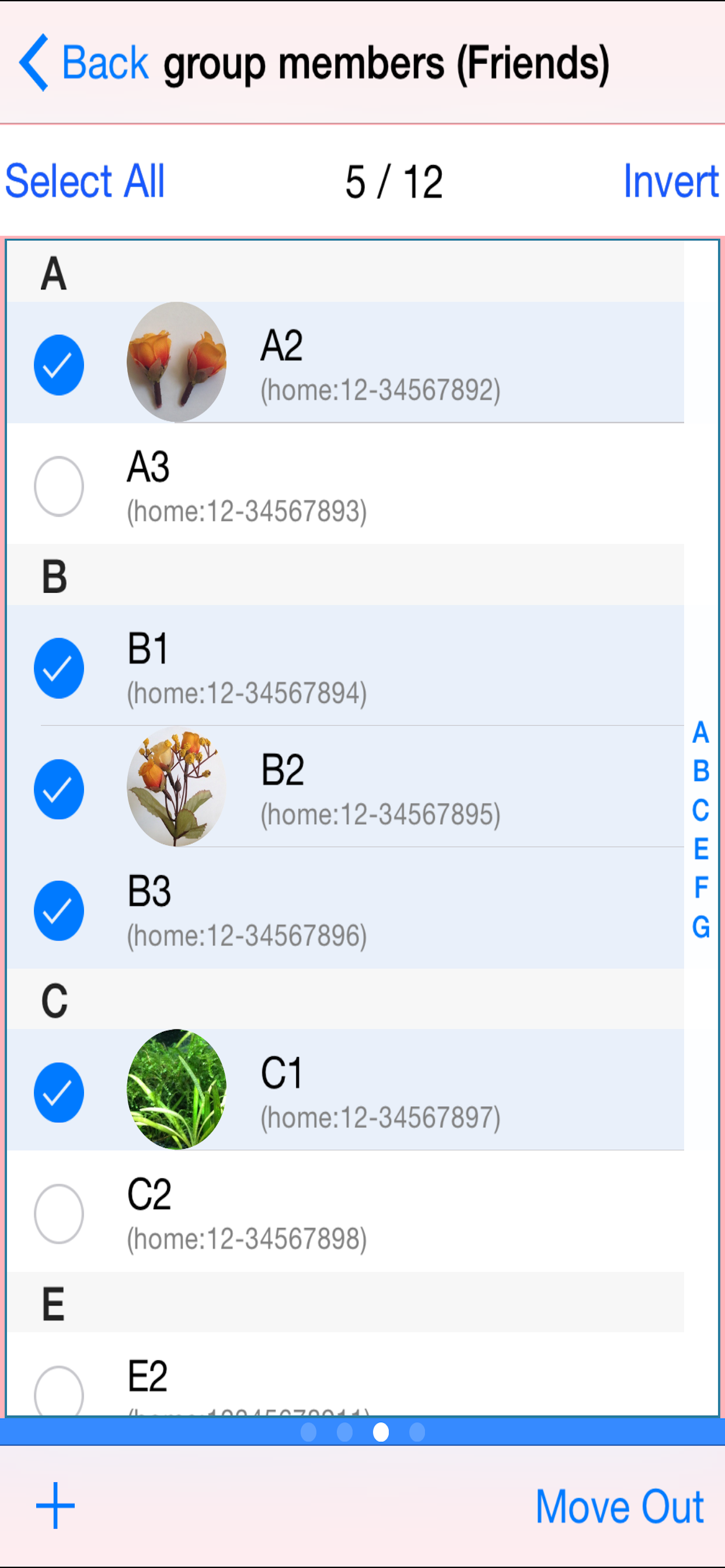Lite Bulk Multi Address Book++