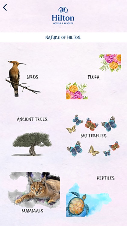 Hilton Dalaman screenshot-3