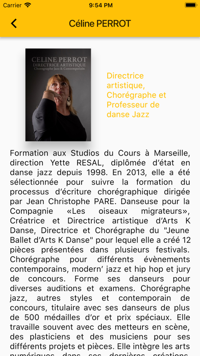 Screenshot #2 pour ArtsKDanse
