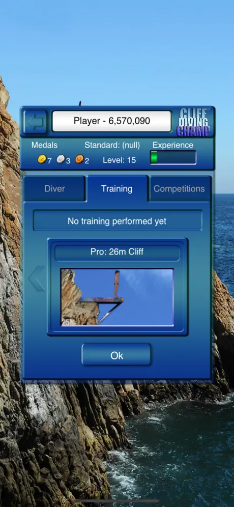 Cliff Diving Champ