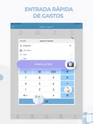 gastos y ingresos ipad capturas de pantalla 2