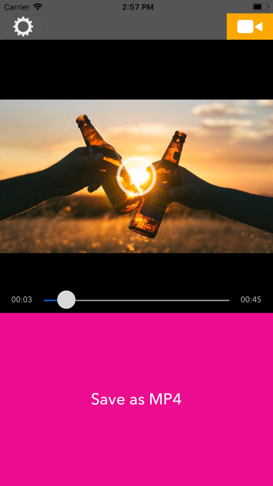 #1. MovP4 - MP4 Converter (iOS) 由: REAFO CO., LTD.