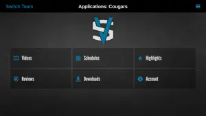 VidSwap screenshot 1