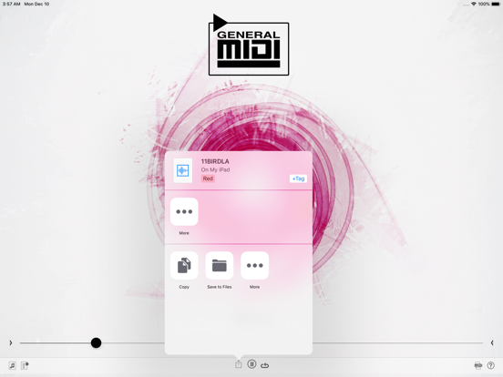GM MIDI Player iPad screenshot 6 - Music app