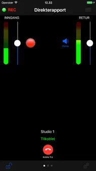 Report-IT Enterprise Edition iphone bilder 0