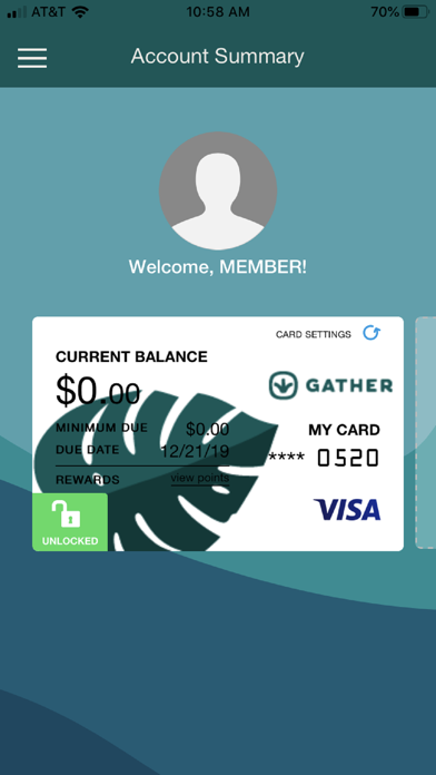 Gather VISA screenshot 2