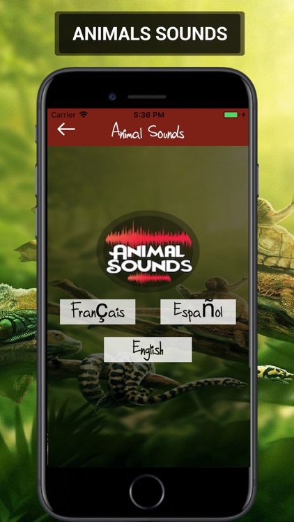 Animal Sounds 2019 screenshot-3