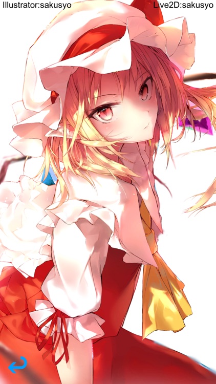 幻想紅魔画報+α ScarletFiles#2.5 東方