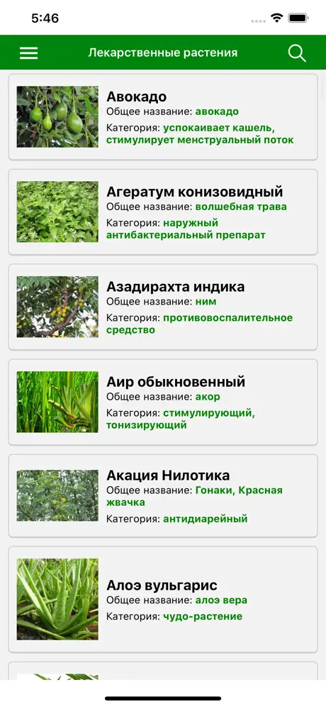 Лекарственные растения мира