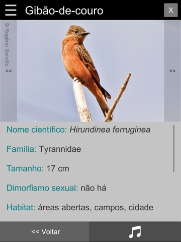 Guia Aves da Região Bragantinaのおすすめ画像5
