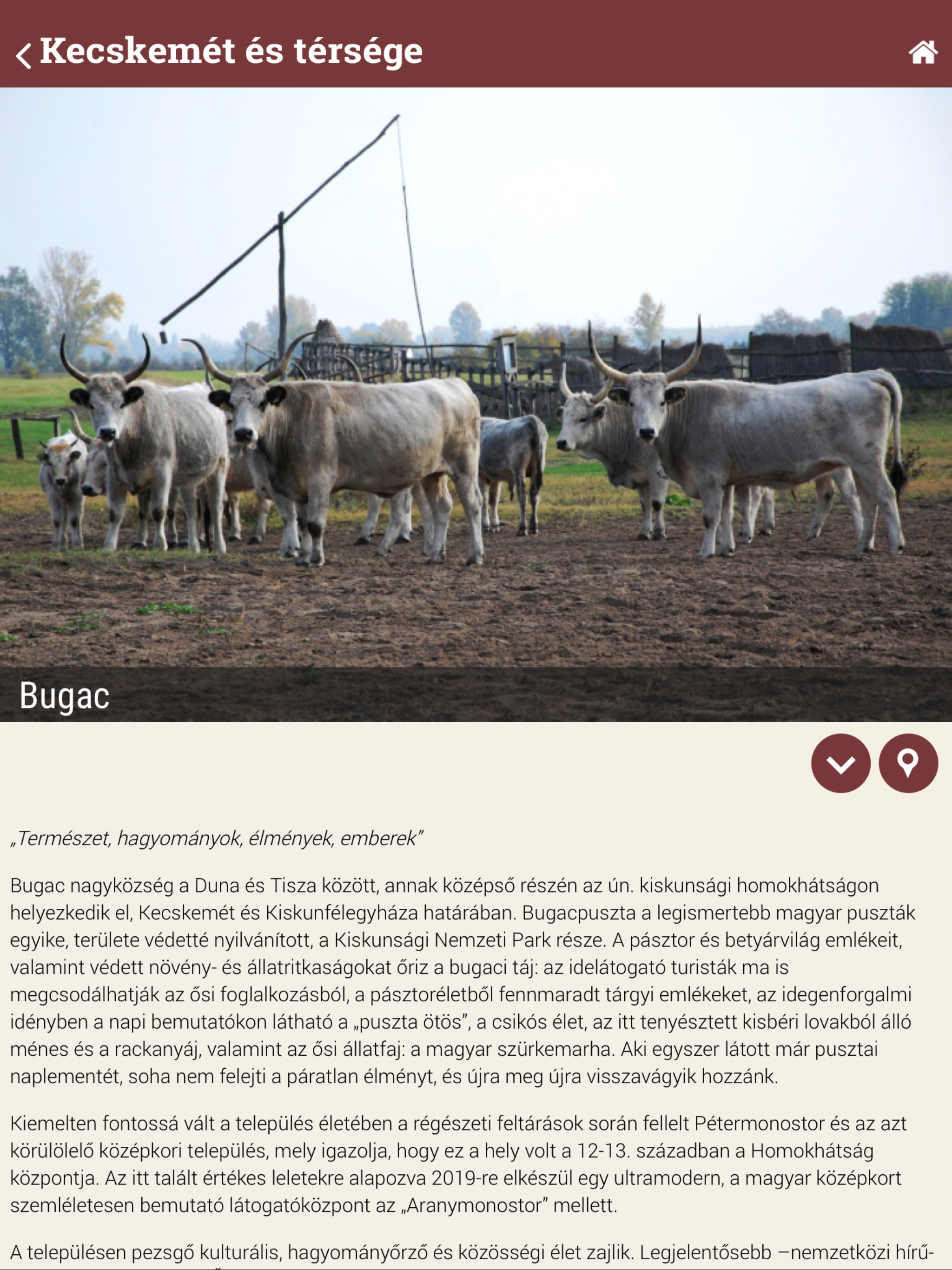 Kecskemét és térsége