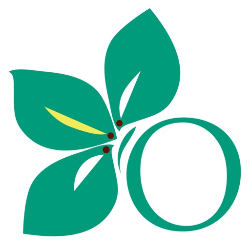 'Ohana Health Plan