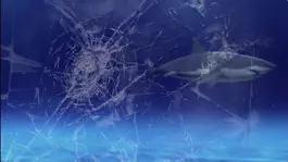 Game screenshot Shark Attack Video Wallpaper mod apk