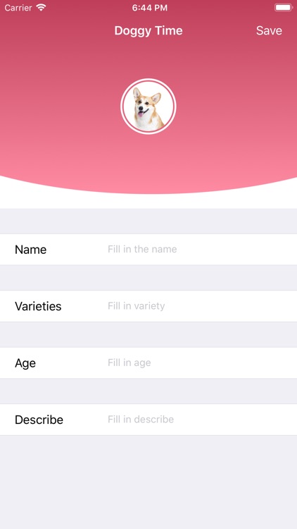 Doggy Time-Walking my dog