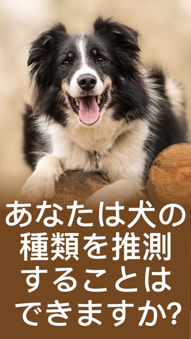 犬 しつけ - 犬 翻訳 - いぬのきもち - 犬の気持ちのおすすめ画像2