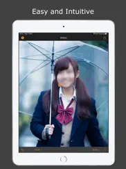 bokeh blur editor айпад изображения 2